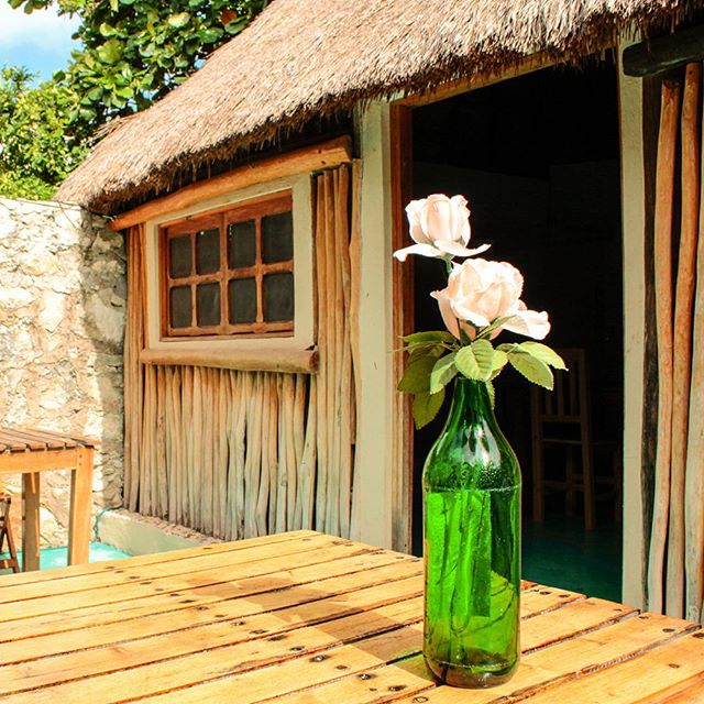 Where do you like to stay on your travels? Hostels, luxury hotels or Air BnBs? I'm a hostel/Air BnB gal. This pic is from @chillinntulum which is one of the cutest and most laidback hostels I've found on my travels!
.
.
.
#sponsored #visitmexico #vivemexico #mexicomagico #mexicotravel #caribe #mexigers #ig_mexico #foundinmexico
#backpacking #backpackerlife #travellog #budgettravel #suitcasetravels #tulum #tulummexico #quintaroo #qroo #tulumlife #intravelist #travelinspiration #viewfromhere #tripcollector #wanderlust #worldcaptures #meettheworld #digitalnomad #wearetravelgirls #sheisnotlost #shetravels Where do you like to stay on your travels? Hostels, luxury hotels or Air BnBs? I'm a hostel/Air BnB gal. This pic is from @chillinntulum which is one of the cutest and most laidback hostels I've found on my travels!
.
.
.
#sponsored #visitmexico #vivemexico #mexicomagico #mexicotravel #caribe #mexigers #ig_mexico #foundinmexico
#backpacking #backpackerlife #travellog #budgettravel #suitcasetravels #tulum #tulummexico #quintaroo #qroo #tulumlife #intravelist #travelinspiration #viewfromhere #tripcollector #wanderlust #worldcaptures #meettheworld #digitalnomad #wearetravelgirls #sheisnotlost #shetravels