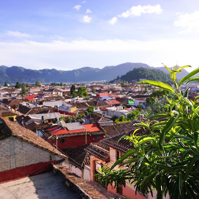 San Cristobal ♡ my fave little chilled hippy mountain town in Mexico. If I ever decide to ditch the laptop lifestyle, buy a tambourine and finally make use of my music degree, this is where I'm going! 🎓🎶👌
.
.
.
#travellerslife #instatravel #travelgram #wanderlust #instatraveling #instavacation #instapassport #postcardsfromtheworld #travelpics #sancristobaldelascasas #travelphoto #travelingram #travels #travelphotography #touristday #worldcaptures #tourism #passionpassport #womenwhoexplore #wearetravelladies #wearetravelgirls #girlsmeetglobe #digitalnomadgirls #lifeisajourney #sancristobal #mountainliving #visitmexico #vivemexico #ig_mexico San Cristobal ♡ my fave little chilled hippy mountain town in Mexico. If I ever decide to ditch the laptop lifestyle, buy a tambourine and finally make use of my music degree, this is where I'm going! 🎓🎶👌
.
.
.
#travellerslife #instatravel #travelgram #wanderlust #instatraveling #instavacation #instapassport #postcardsfromtheworld #travelpics #sancristobaldelascasas #travelphoto #travelingram #travels #travelphotography #touristday #worldcaptures #tourism #passionpassport #womenwhoexplore #wearetravelladies #wearetravelgirls #girlsmeetglobe #digitalnomadgirls #lifeisajourney #sancristobal #mountainliving #visitmexico #vivemexico #ig_mexico