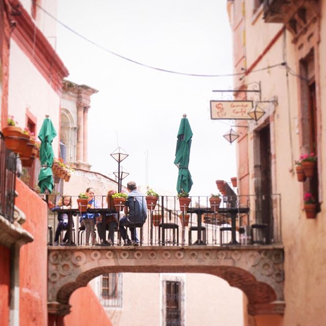 When everything tells you not to go to Mexico because it's full of drugs, guns and cartels, you feel pretty smug finding little jems like this 👌💕 When everything tells you not to go to Mexico because it's full of drugs, guns and cartels, you feel pretty smug finding little jems like this 👌💕
