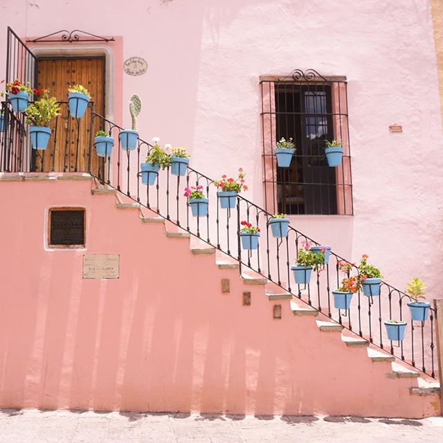 Guanajuato: the city that takes a ridiculously long time to walk around because every street looks like this 💟💖💕
.
.
.
#travellerslife #livecolorfully #abmlifeiscolorful#pursuepretty #darlingescapes#dametraveler#mytinyatlas#postcardsfromtheworld #travelpics #guanajuato #travelphoto #travelingram #abmtravelbug#postitfortheaesthetic#traveldeeper#worldcaptures #travelstoke .#passionpassport #womenwhoexplore #wearetravelladies #wearetravelgirls #girlsmeetglobe #digitalnomadgirls #lifeisajourney #acolorstory #mountainliving #visitmexico #vivemexico #ig_mexico Guanajuato: the city that takes a ridiculously long time to walk around because every street looks like this 💟💖💕
.
.
.
#travellerslife #livecolorfully #abmlifeiscolorful#pursuepretty #darlingescapes#dametraveler#mytinyatlas#postcardsfromtheworld #travelpics #guanajuato #travelphoto #travelingram #abmtravelbug#postitfortheaesthetic#traveldeeper#worldcaptures #travelstoke .#passionpassport #womenwhoexplore #wearetravelladies #wearetravelgirls #girlsmeetglobe #digitalnomadgirls #lifeisajourney #acolorstory #mountainliving #visitmexico #vivemexico #ig_mexico
