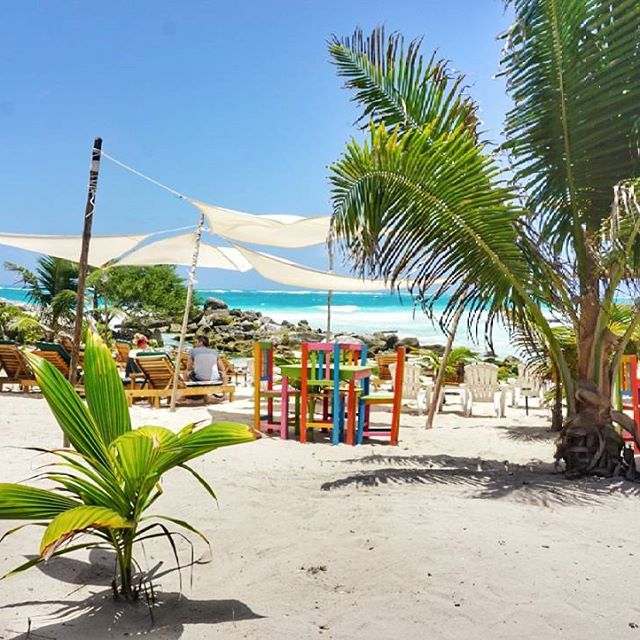 Happy Sunday everyone! We're heading to see some ruins today because, when in Mexico! We've actually only got 3 weeks left here which is so sad- how am I gonna feed my daily taco addiction 😢 do they have tacos in Guatemala? Answers on a postcard, por favor ✉ reminiscing back to Tulum which was one of the first stops on this trip and home to some of the bluest water I've ever seen 💙💙💙
.
.
.
#visitmexico #vivemexico #mexicomagico #mexicotravel #caribe #mexigers #ig_mexico #foundinmexico
#backpacking #backpackerlife #hostellife #travellog #budgettravel #suitcasetravels #tulum #tulummexico #quintaroo #qroo #tulumlife #intravelist #travelinspiration #viewfromhere #lppathfinders #tripcollector #igtravel #wanderlust #worldcaptures #travelbug #passionpassport #mytinyatlas Happy Sunday everyone! We're heading to see some ruins today because, when in Mexico! We've actually only got 3 weeks left here which is so sad- how am I gonna feed my daily taco addiction 😢 do they have tacos in Guatemala? Answers on a postcard, por favor ✉ reminiscing back to Tulum which was one of the first stops on this trip and home to some of the bluest water I've ever seen 💙💙💙
.
.
.
#visitmexico #vivemexico #mexicomagico #mexicotravel #caribe #mexigers #ig_mexico #foundinmexico
#backpacking #backpackerlife #hostellife #travellog #budgettravel #suitcasetravels #tulum #tulummexico #quintaroo #qroo #tulumlife #intravelist #travelinspiration #viewfromhere #lppathfinders #tripcollector #igtravel #wanderlust #worldcaptures #travelbug #passionpassport #mytinyatlas