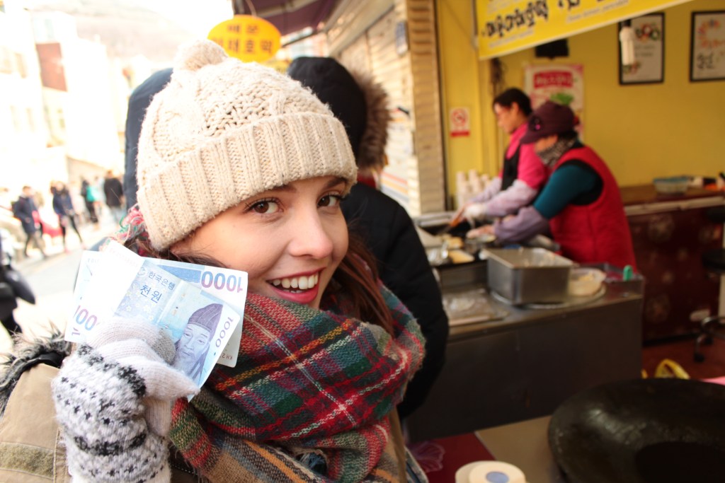 Save Money Travel New Years Resolutions 2017