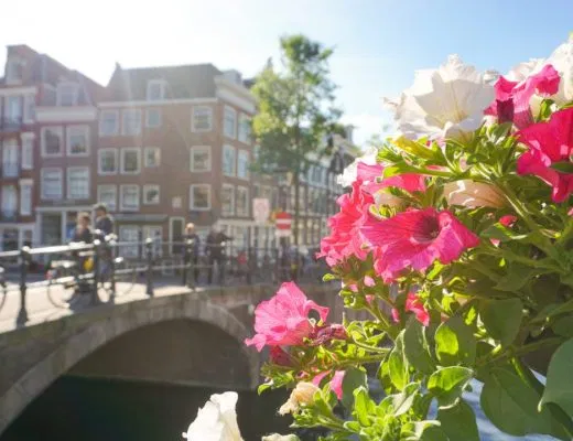 find the cheapest flights on the web