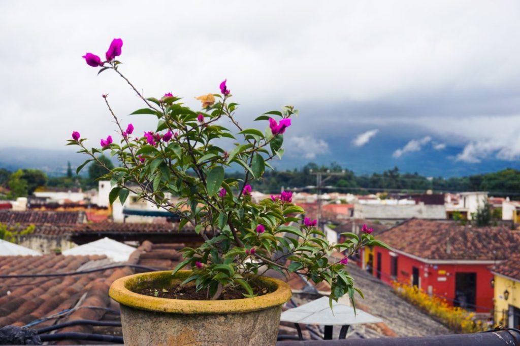 become location independent digital nomad
